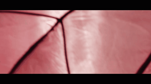 katy-perry-rise (1)