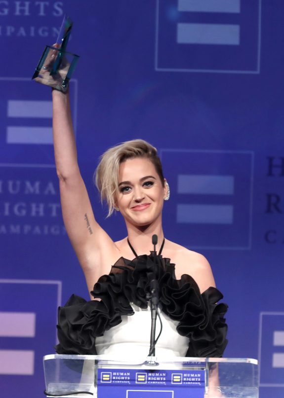 Human Rights Campaign's 2017 Los Angeles Gala Dinner - Show