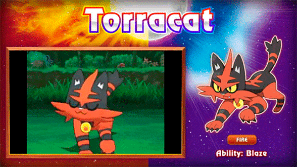 torracat-gif