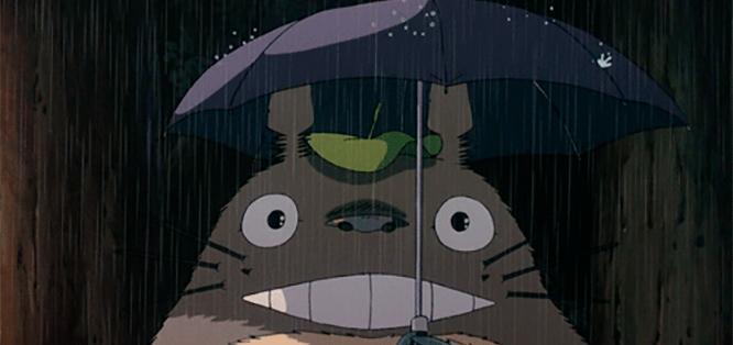 totoro-gif