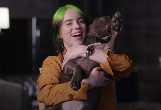 A série de entrevistas mostra a evolução da cantora (Reprodução)