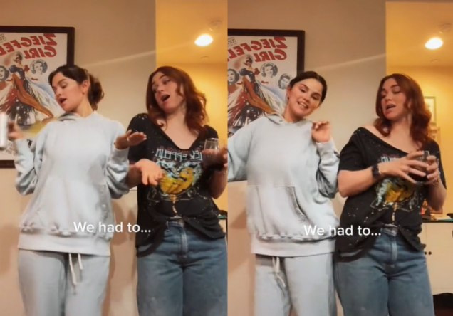 (Reprodução / TikTok)