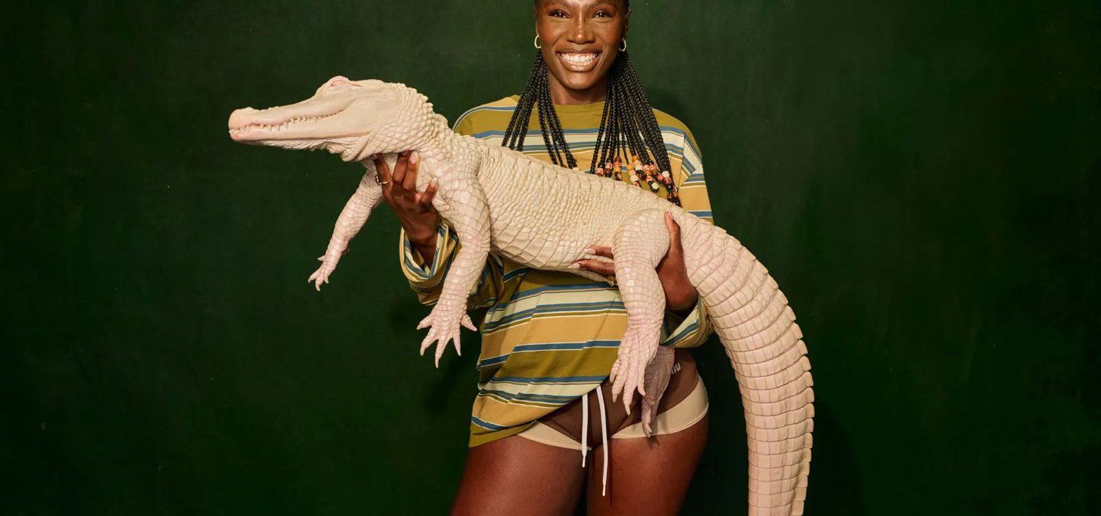 (Foto: Divulgação)