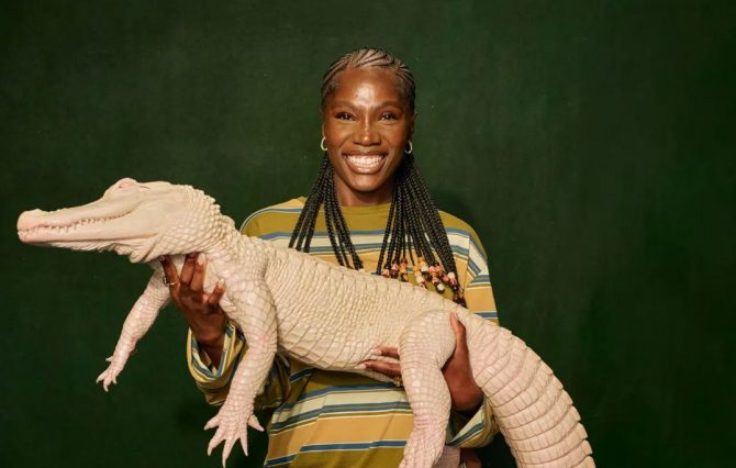 (Foto: Divulgação)