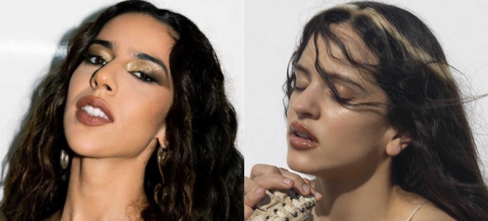 (Fotos: Divulgação)