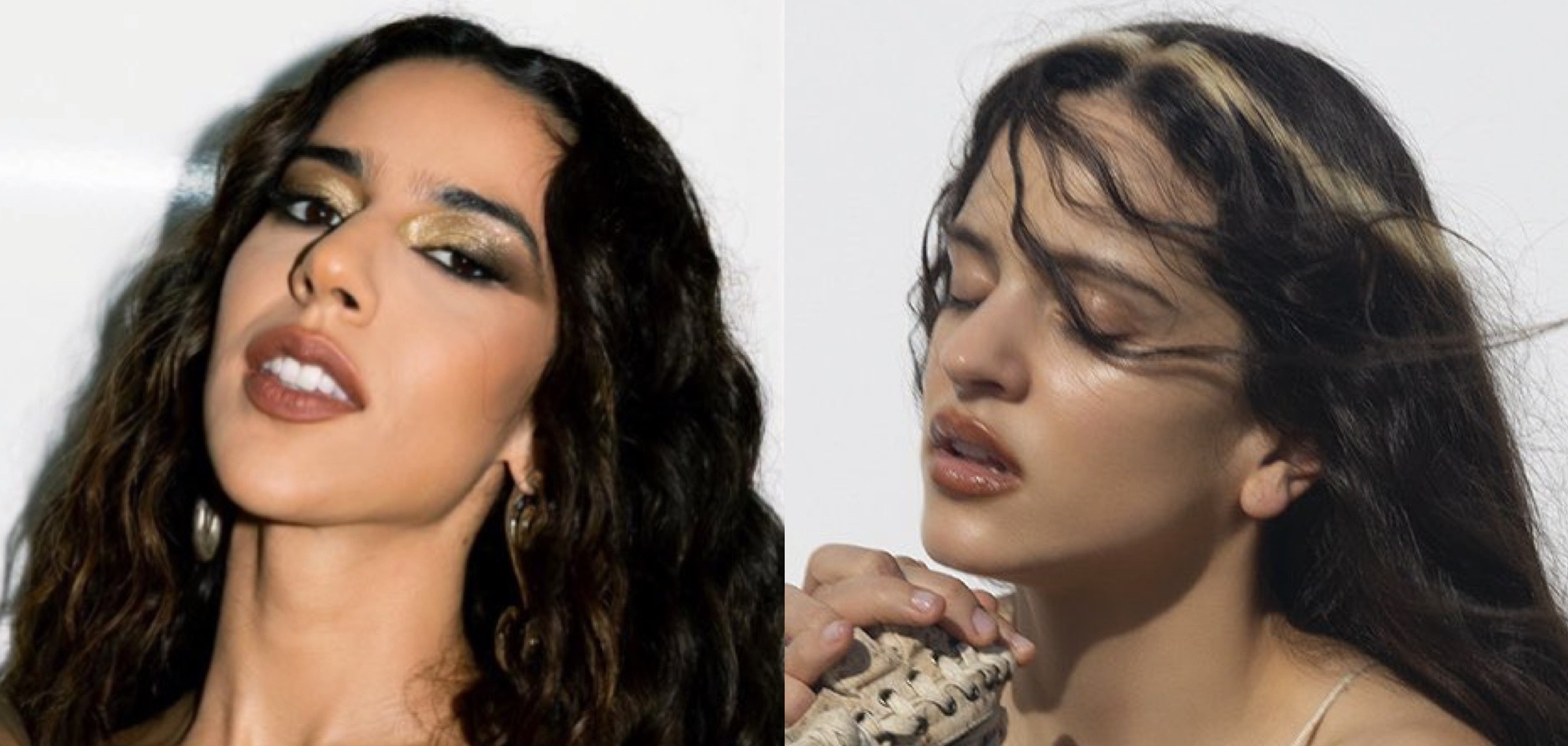 (Fotos: Divulgação)