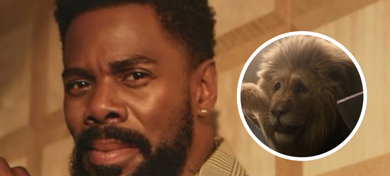 (Foto: Reprodução)