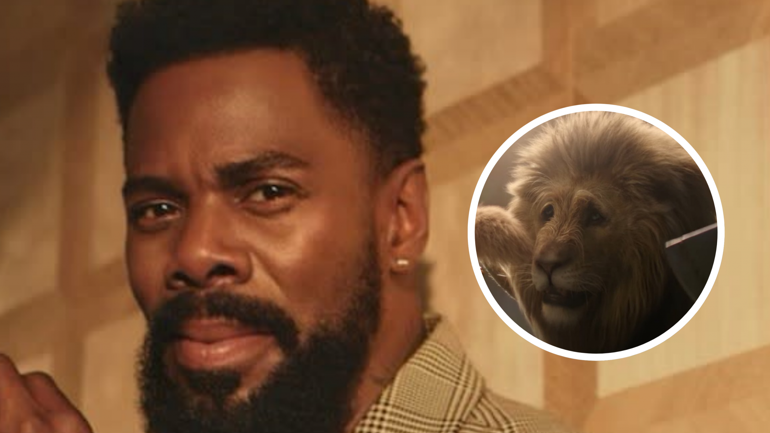 (Foto: Reprodução)