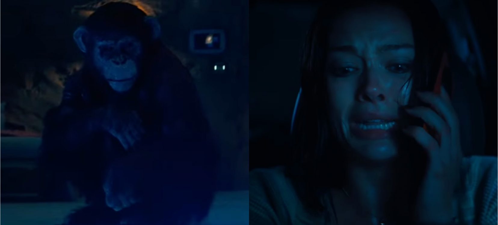 (Foto: Reprodução/YouTube)