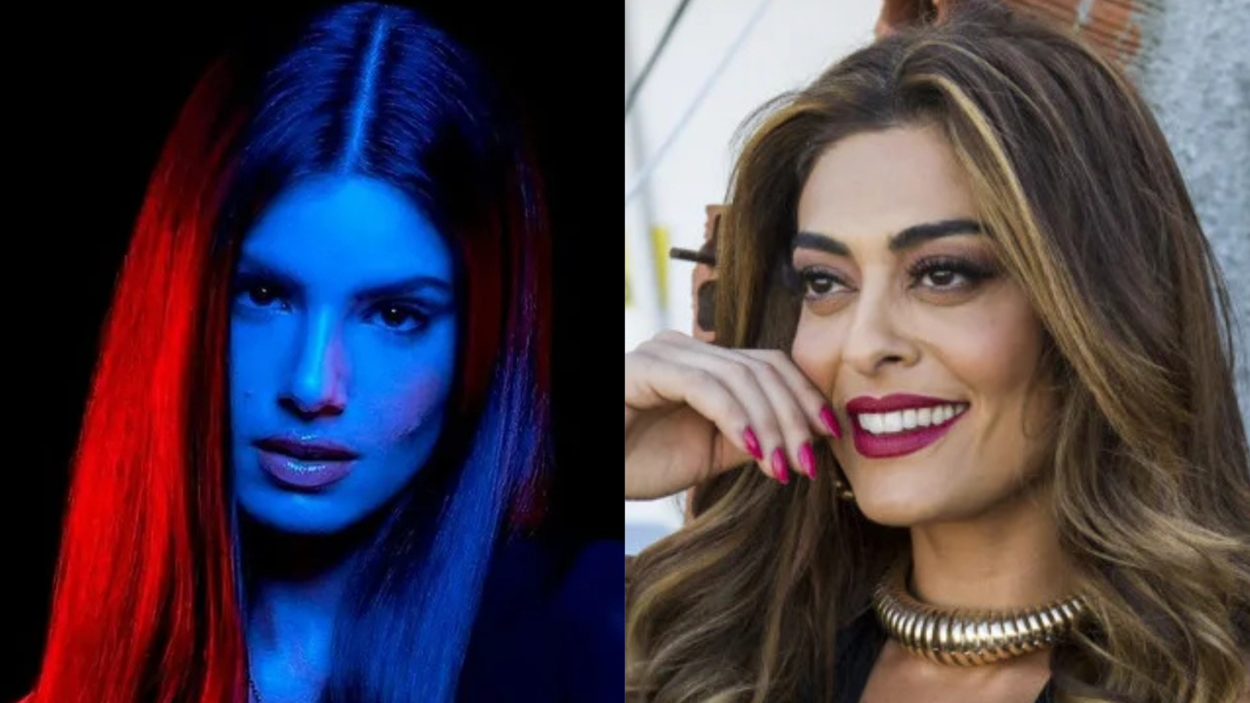 (Foto: Divulgação)