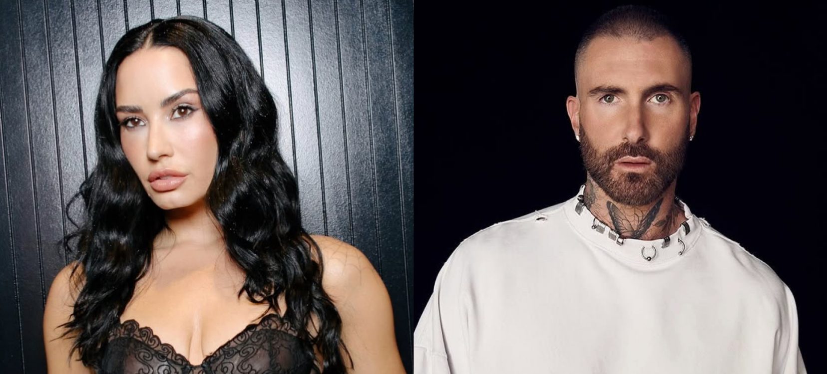 (Fotos: Divulgação)