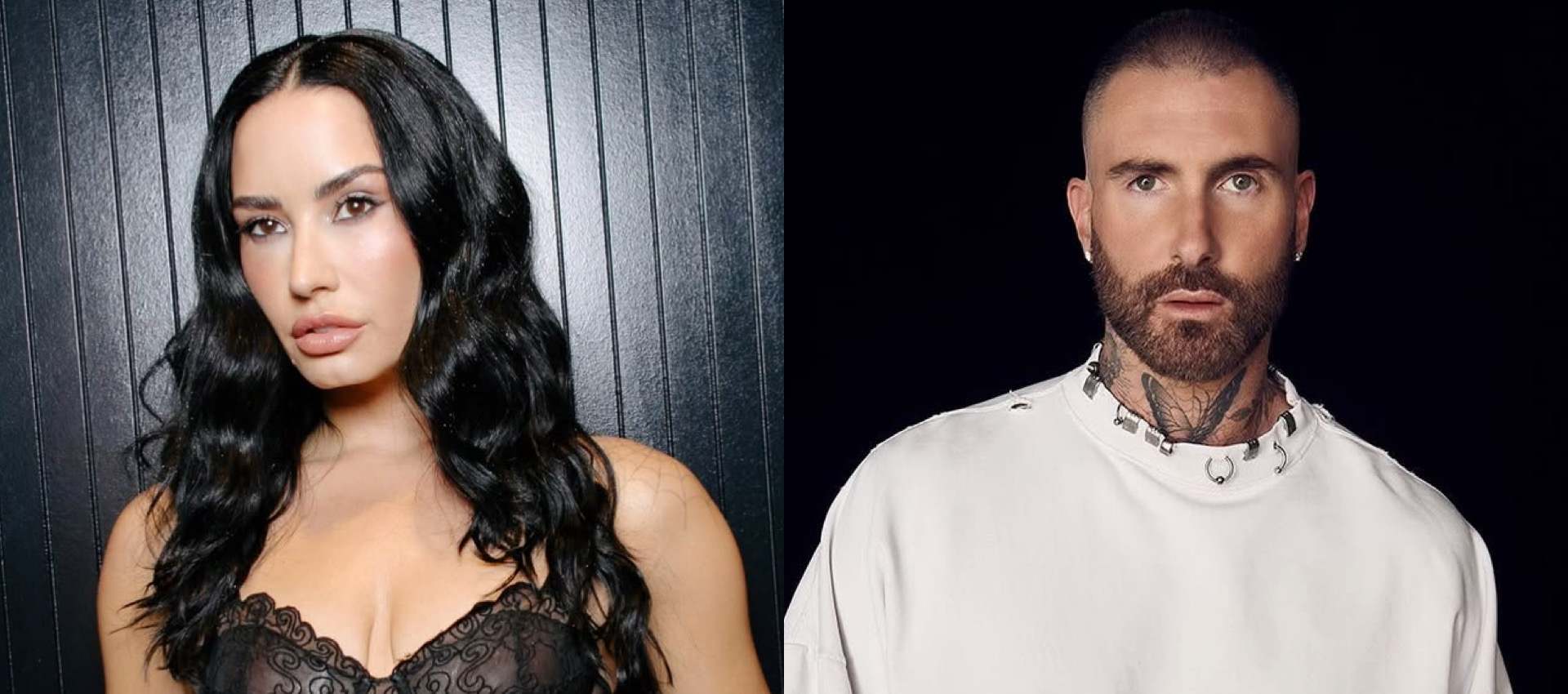 (Fotos: Divulgação)