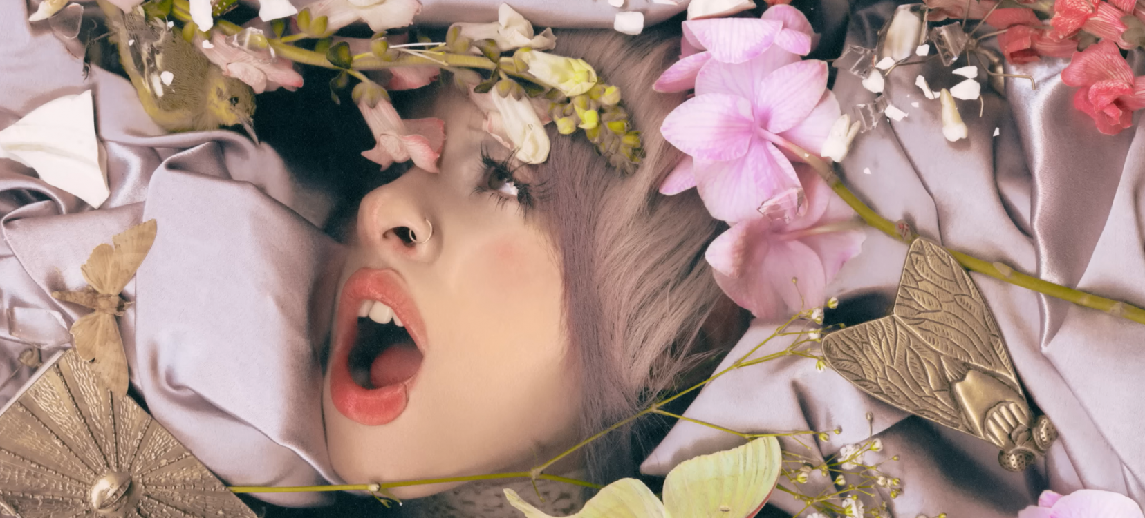 (Foto: Divulgação)