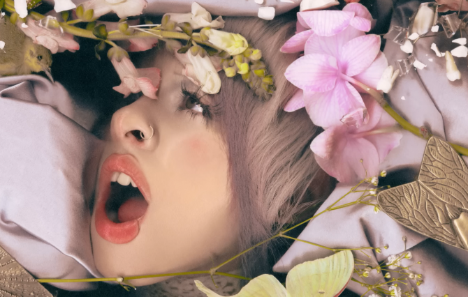 (Foto: Divulgação)