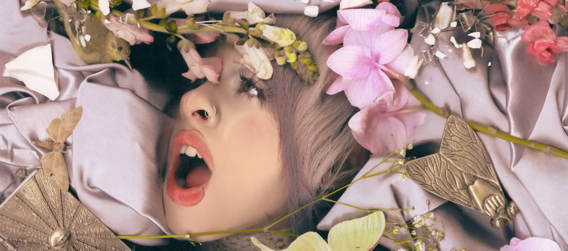 (Foto: Divulgação)