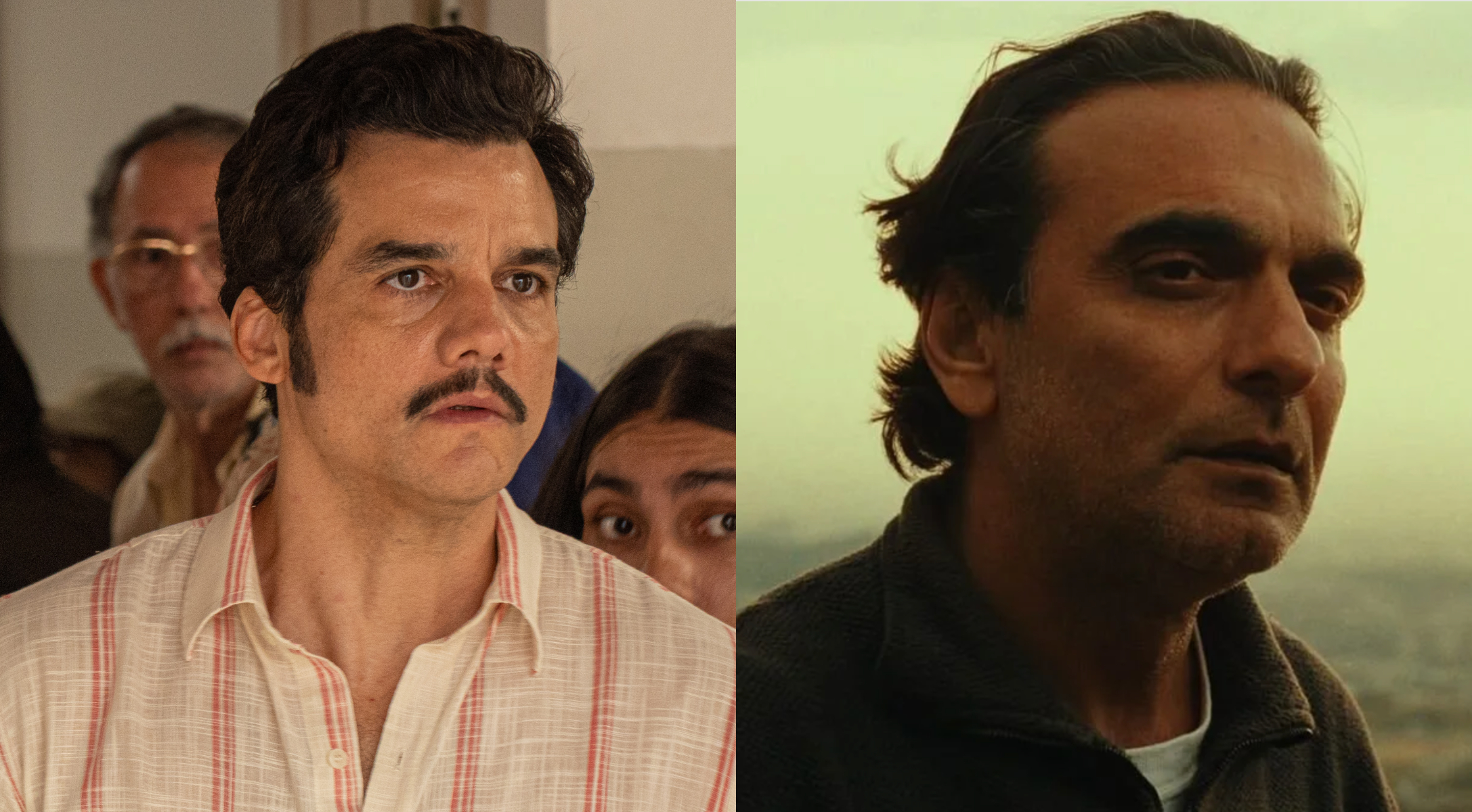 (Foto: Divulgação)