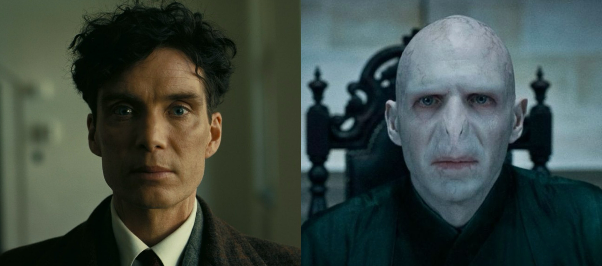 (Fotos: Divulgação)