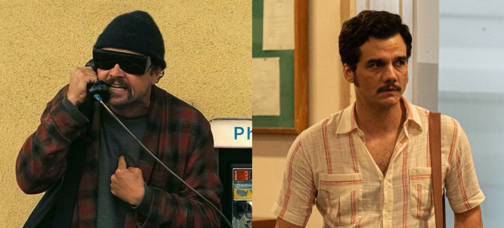 (Fotos: Divulgação)