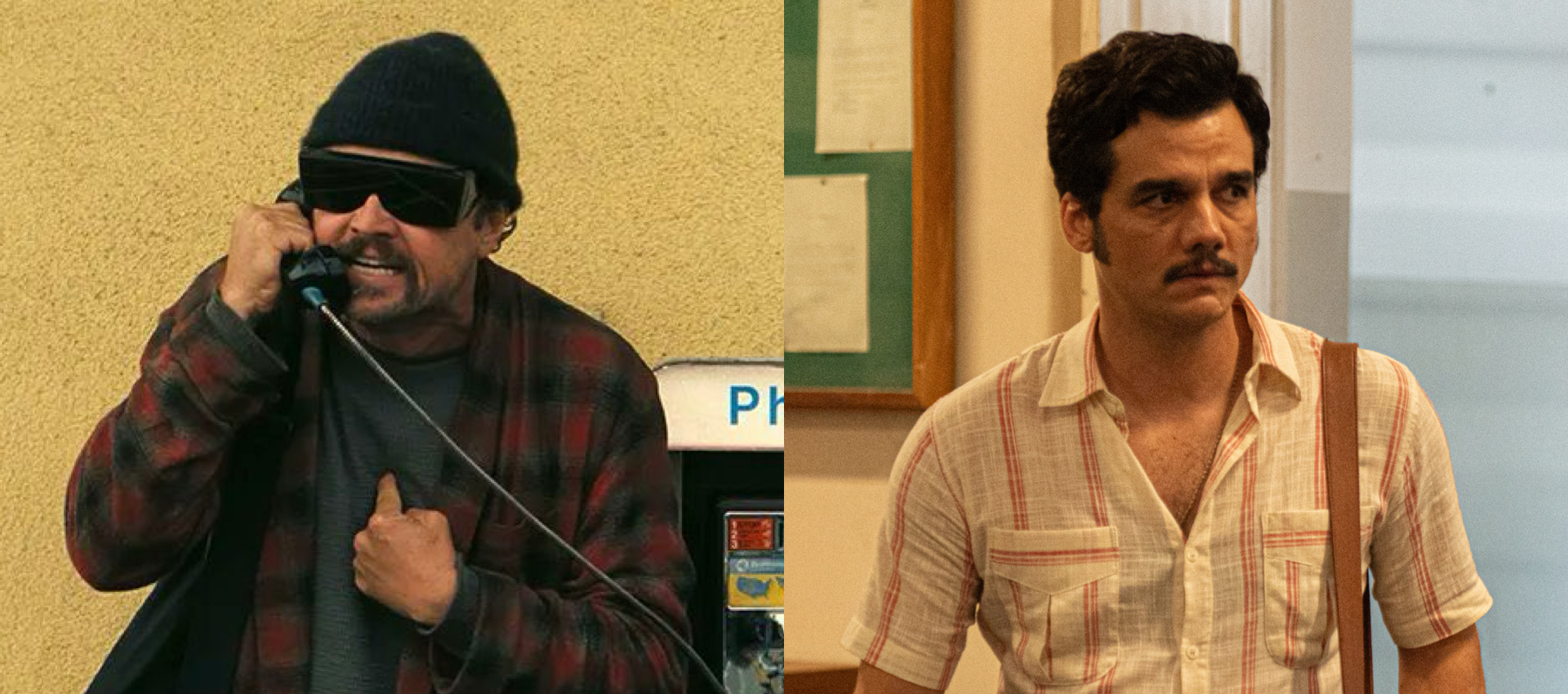 (Fotos: Divulgação)