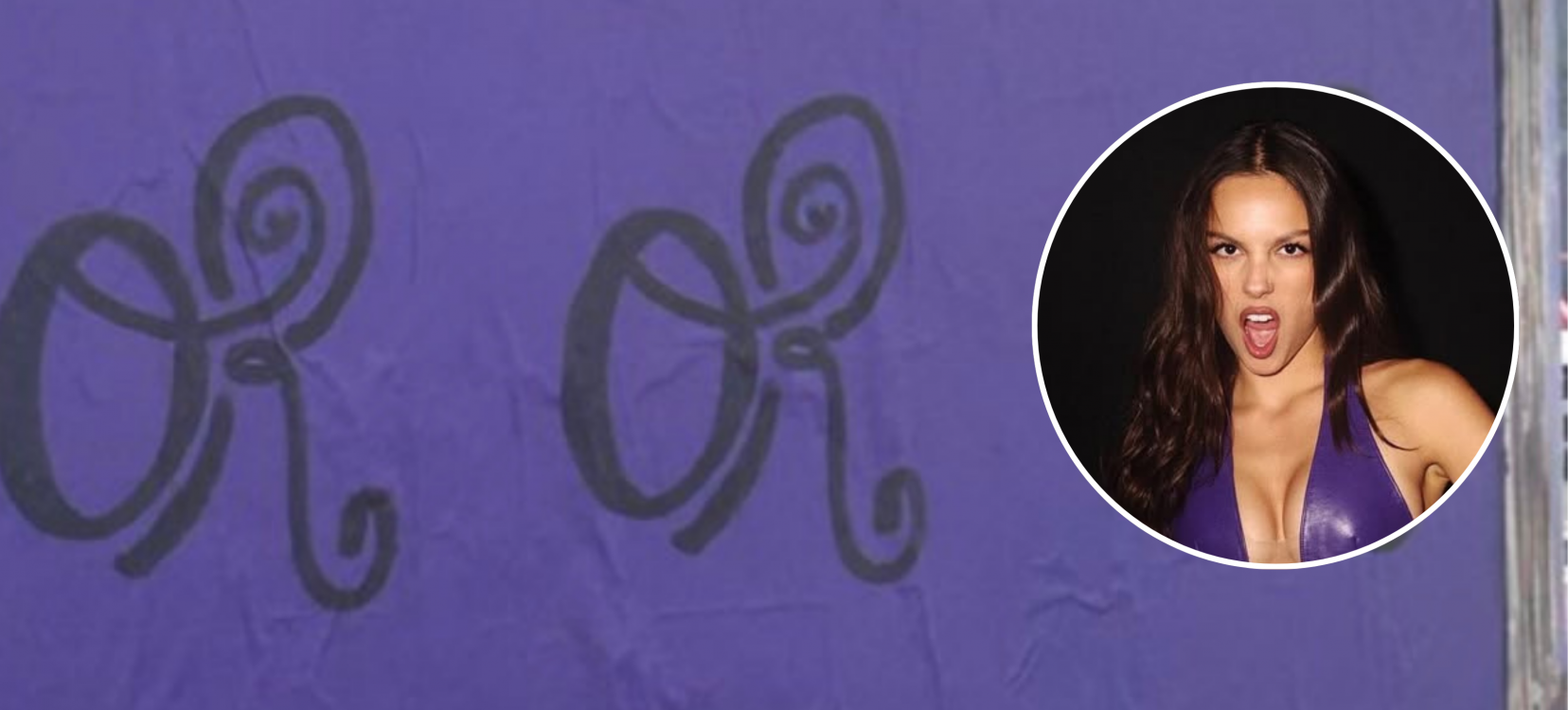 (Foto: Reprodução/X)