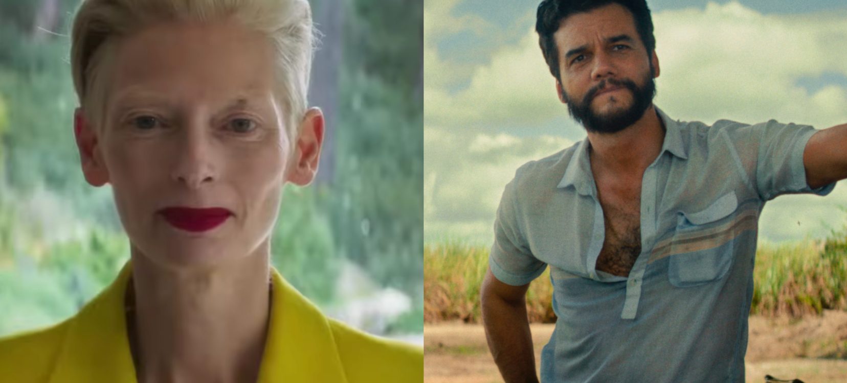 (Foto: Divulgação)