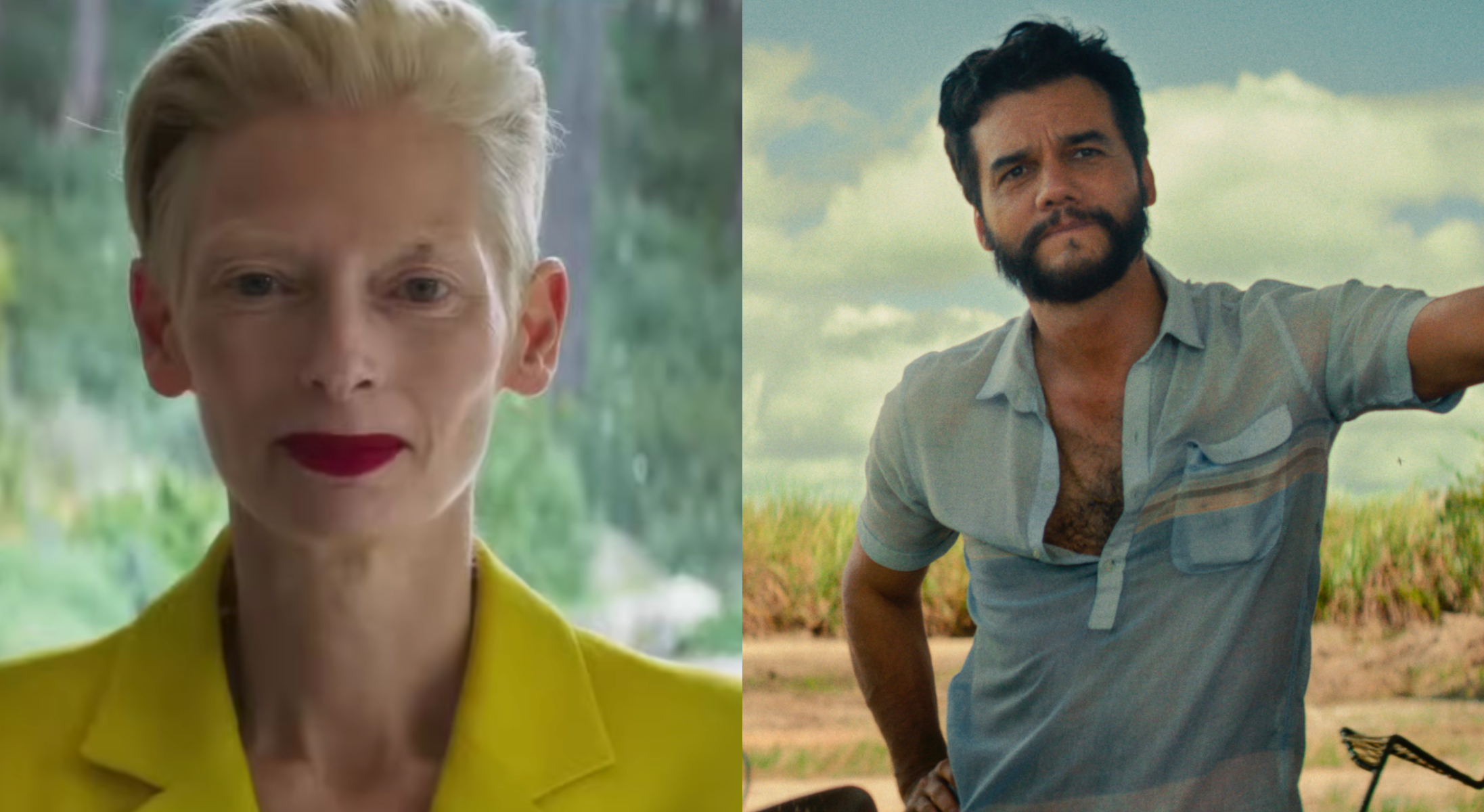 (Foto: Divulgação)