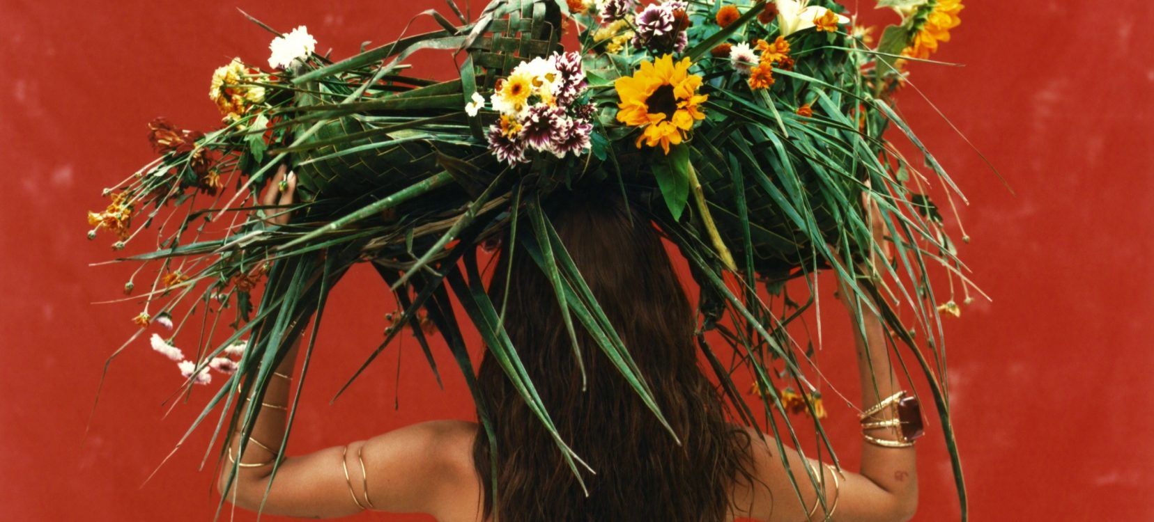 (Foto: Divulgação)