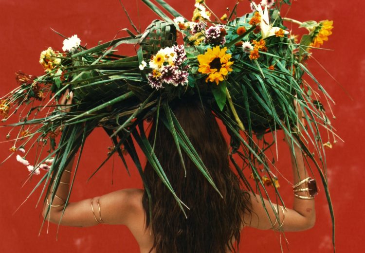 (Foto: Divulgação)