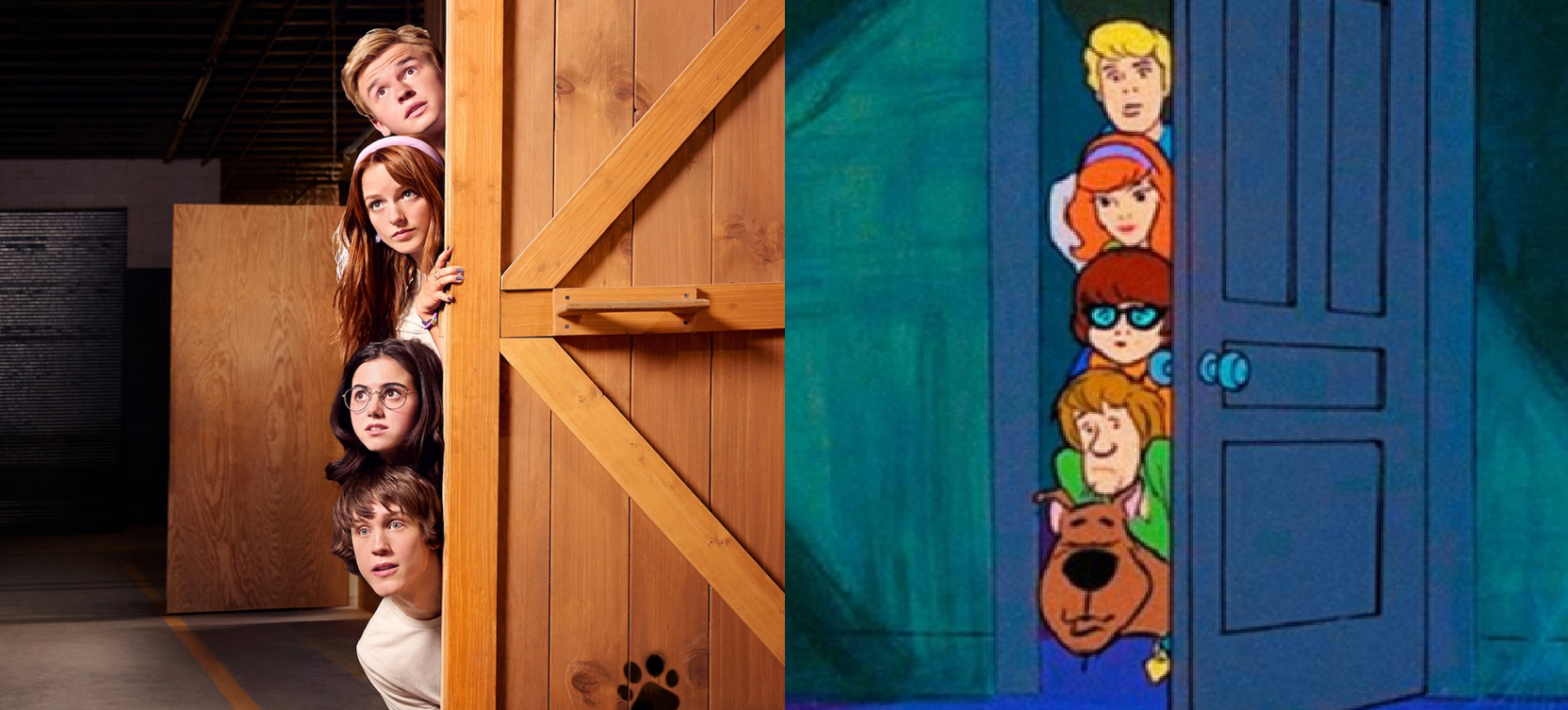 (Fotos: Divulgação)