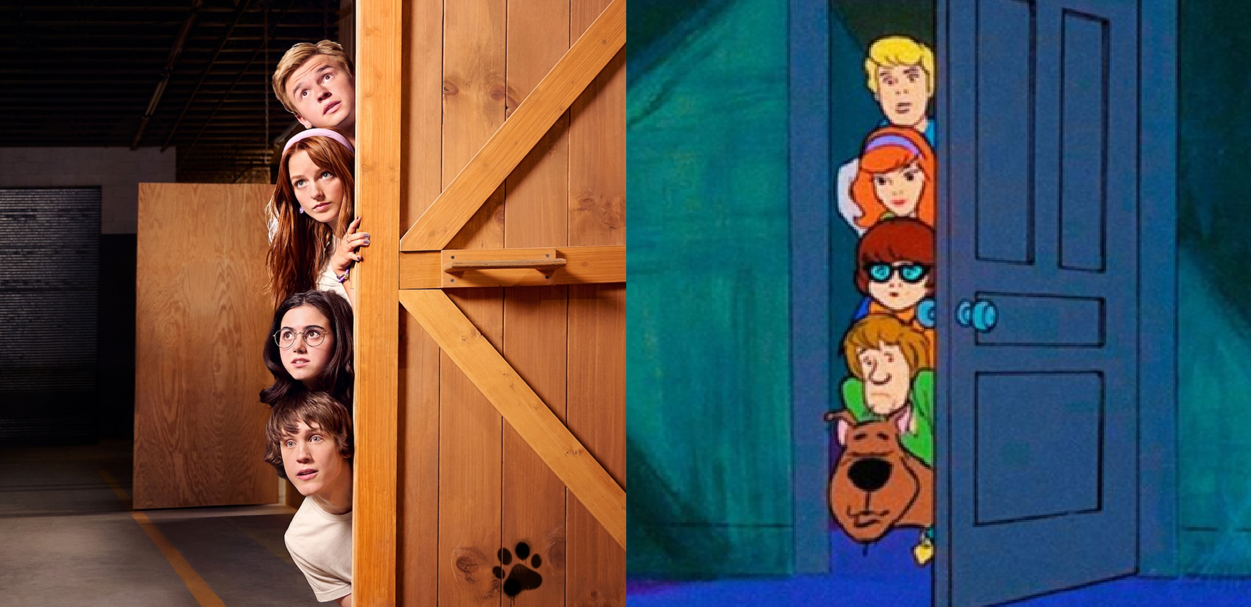 (Fotos: Divulgação)