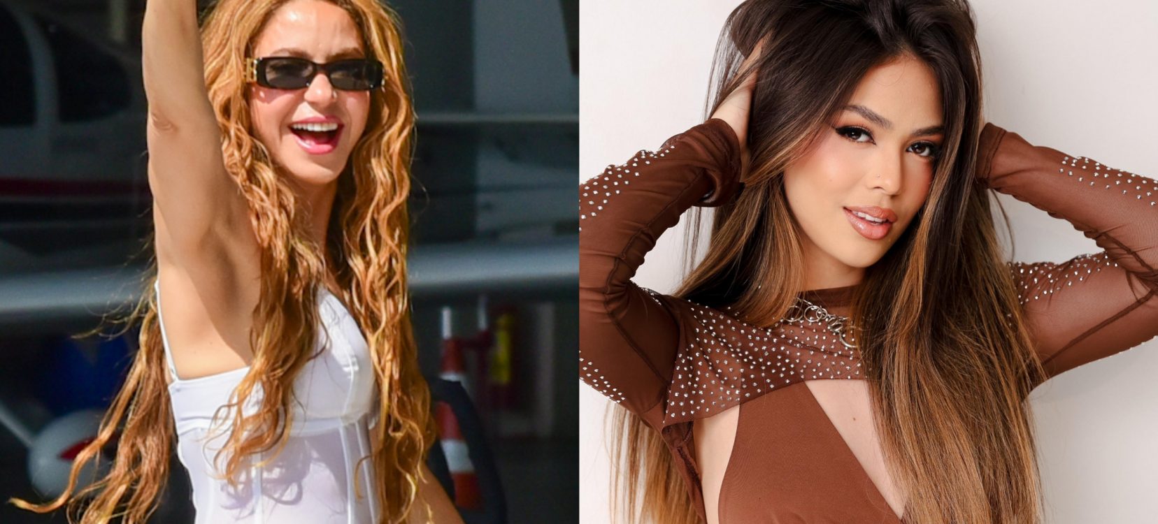 (Foto: AgNews; Divulgação)